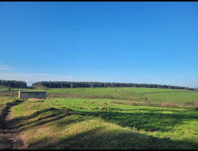 FARM FOR SALE IN HARDING